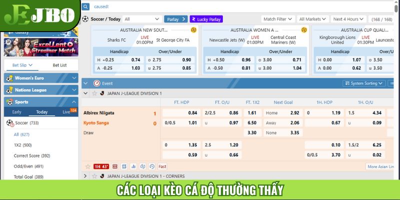Tổng hợp các loại kèo cá độ